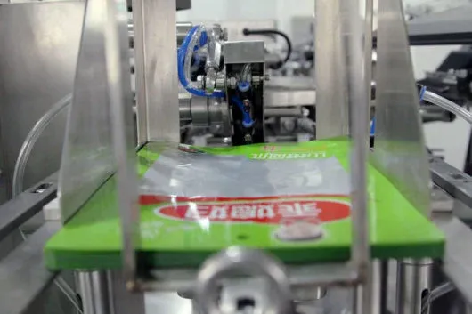 Automatic Vacuum Packaging Machine