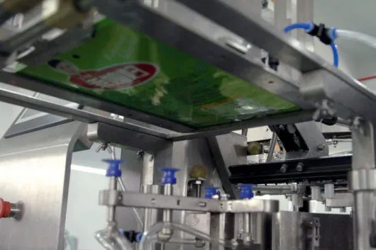 Automatic Vacuum Packaging Machine