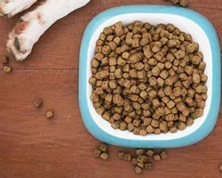 Pet Food Packing Machine